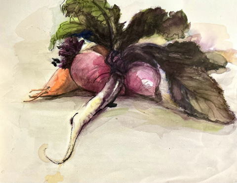 ミニ大根のアンサンブル